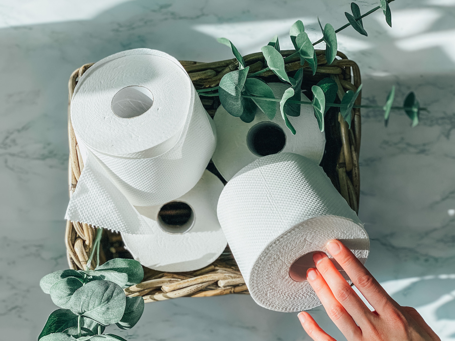 tissue paper is environment friendly